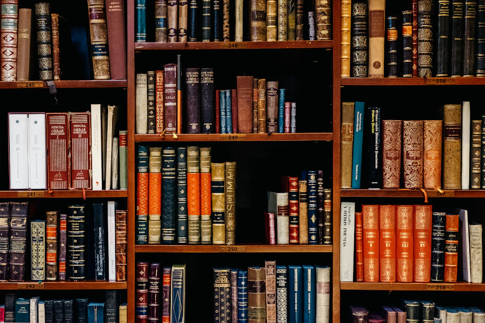 Estanterías con libros en una biblioteca